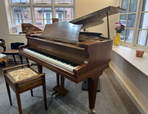 New Arrival: C Bechstein Model M Baby Grand